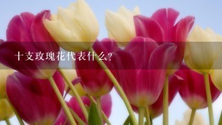 十支玫瑰花代表什么？