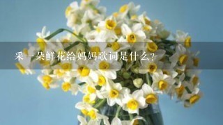 采一朵鲜花给妈妈歌词是什么？