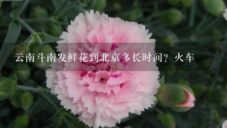 云南斗南发鲜花到北京多长时间？火车