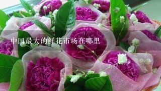 中国最大的鲜花市场在哪里