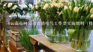 《云南电网公司营销电气工作票实施细则（修改版）》由厂家提供技术性服务、配合施工单位施工的项目，由工作负责人进行安全技术交...