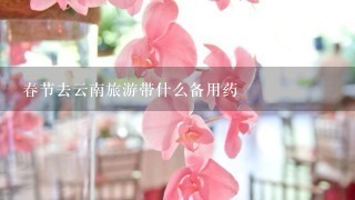 春节去云南旅游带什么备用药