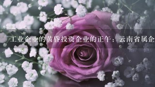 工业企业的黄昏投资企业的正午：云南省属企业改革荆