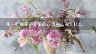 花小好鲜花小雏菊的花语和寓意是什么?