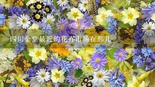 四川金堂最近的花卉市场在那儿