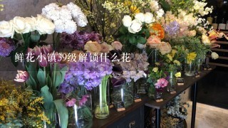 鲜花小镇39级解锁什么花