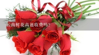 云南鲜花高速收费吗？