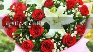 昆明什么季节去最好