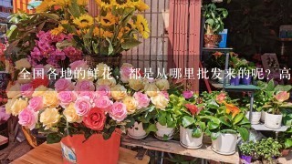 全国各地的鲜花，都是从哪里批发来的呢？高档花卉，