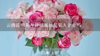 云南昆明花卉种植基地是私人企业吗