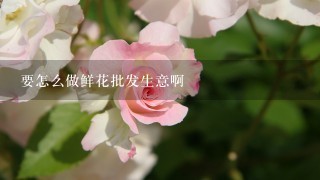 要怎么做鲜花批发生意啊