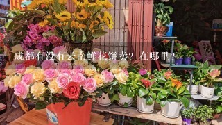 成都有没有云南鲜花饼卖？在哪里？