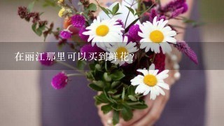 在丽江那里可以买到鲜花?