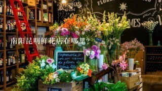 南阳昆明鲜花店在哪里？