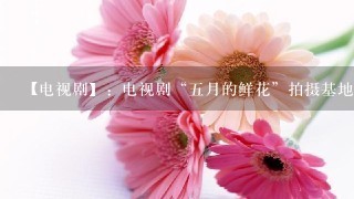 【电视剧】：电视剧“五月的鲜花”拍摄基地在哪里？
