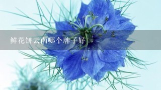 鲜花饼云南哪个牌子好