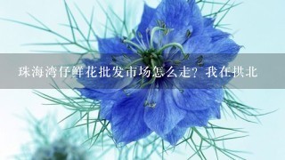 珠海湾仔鲜花批发市场怎么走？我在拱北