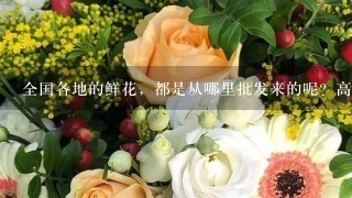 全国各地的鲜花，都是从哪里批发来的呢？高档花卉，