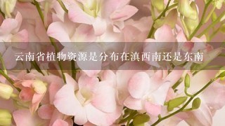 云南省植物资源是分布在滇西南还是东南