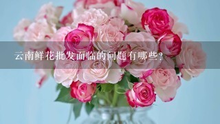 云南鲜花批发面临的问题有哪些？