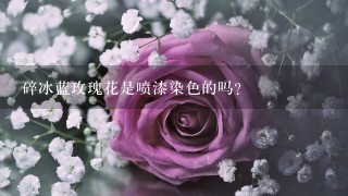 碎冰蓝玫瑰花是喷漆染色的吗？