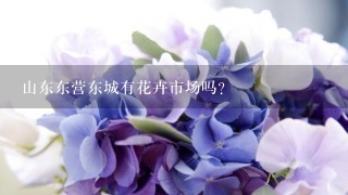 山东东营东城有花卉市场吗?