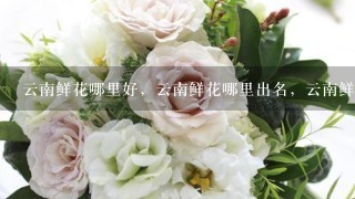 云南鲜花哪里好，云南鲜花哪里出名，云南鲜花哪里可以买得到。