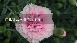 鲜花饼云南哪个牌子好