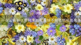 在云南丽江带回来的鲜花饼不知道到底能放多久，它