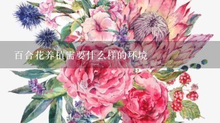 百合花养植需要什么样的环境