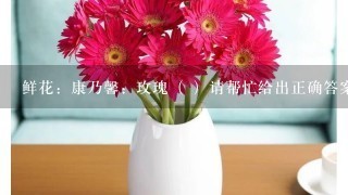 鲜花：康乃馨：玫瑰（ ）请帮忙给出正确答案和分析，谢谢！