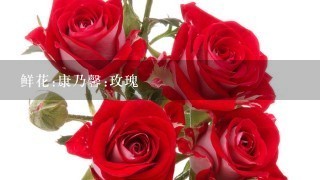 鲜花:康乃馨:玫瑰
