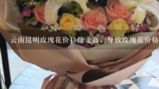 云南昆明玫瑰花价持续走高，导致玫瑰花价格上涨的原