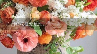 广州鲜花批发地址？