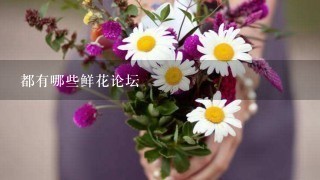 都有哪些鲜花论坛