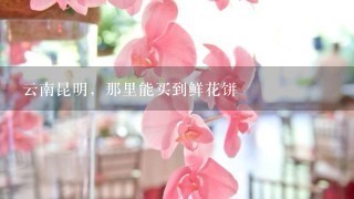 云南昆明，那里能买到鲜花饼