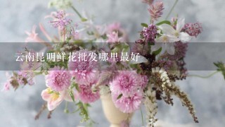 云南昆明鲜花批发哪里最好