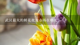 武汉最大的鲜花批发市场在哪儿