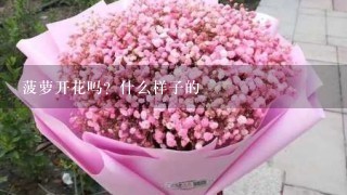 菠萝开花吗？什么样子的