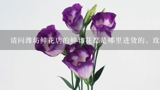 请问潍坊鲜花店的鲜切花都是哪里进货的，玫瑰花，百合，绣球，洋菊埂之类的！