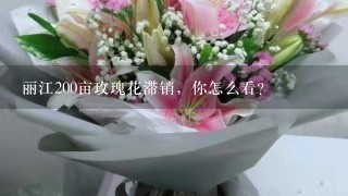 丽江200亩玫瑰花滞销，你怎么看？