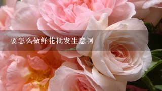 要怎么做鲜花批发生意啊