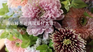 满山鲜花开满坡是什么歌？