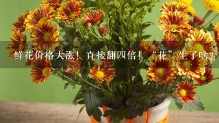 鲜花价格大涨！直接翻四倍！“花”生了啥？