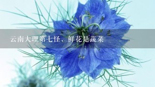 云南大理第七怪，鲜花是蔬菜