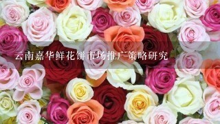 云南嘉华鲜花饼市场推广策略研究