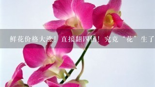 鲜花价格大涨！直接翻四倍！究竟“花”生了什么？