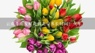 云南斗南发鲜花到北京多长时间？火车