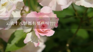 云南十八怪都有那些呀???