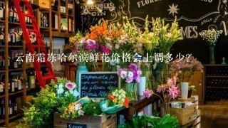 云南霜冻哈尔滨鲜花价格会上调多少?